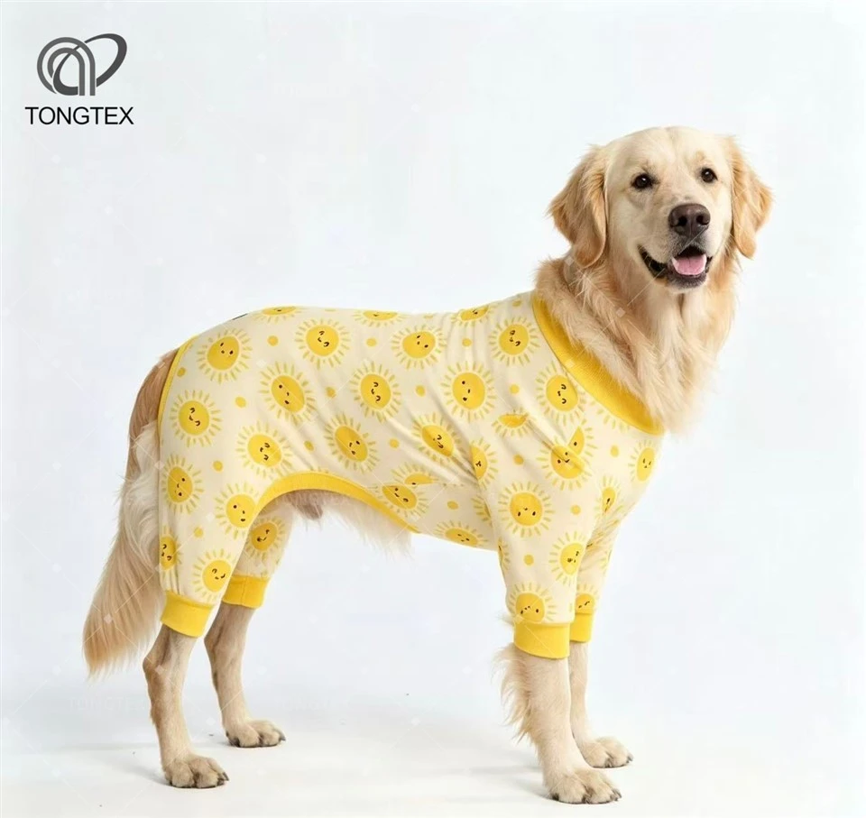 Warm clothes for dogs
